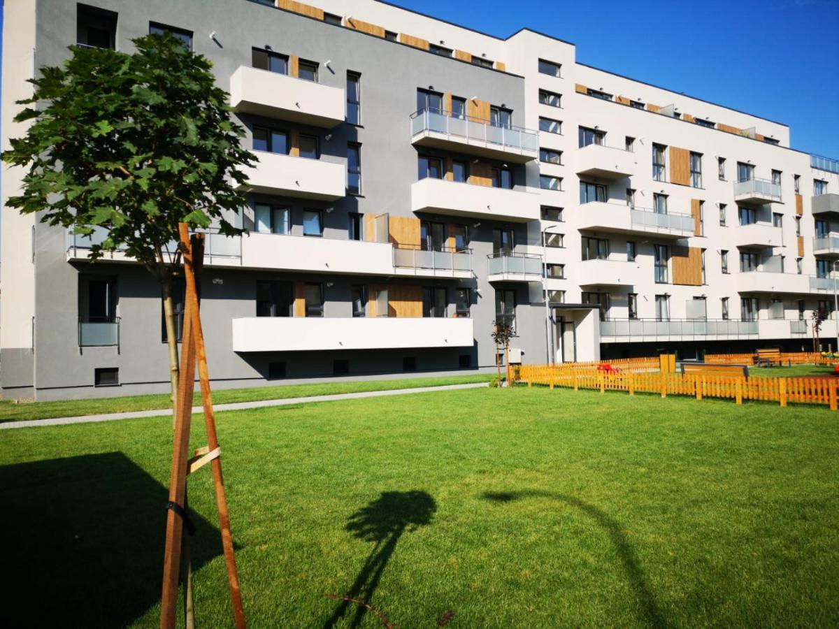 Ludi House Apartment Targu Mures Exterior photo